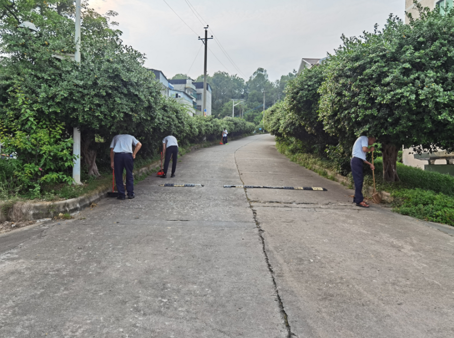 1603120718701770.png 1.png